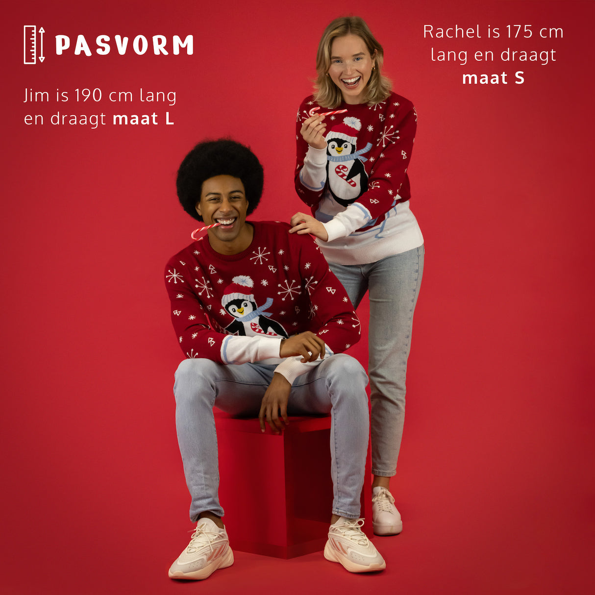 JAP Weihnachtspullover - Skateguïn - Rot