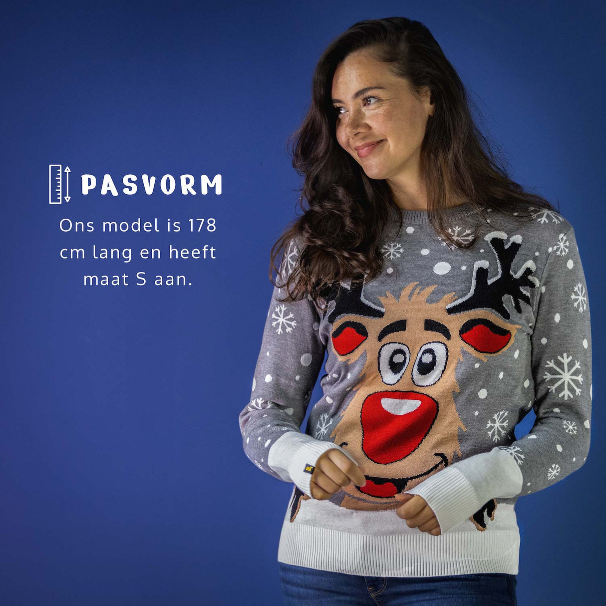 JAP Weihnachtspullover - Rudolf das Rentier - Grau