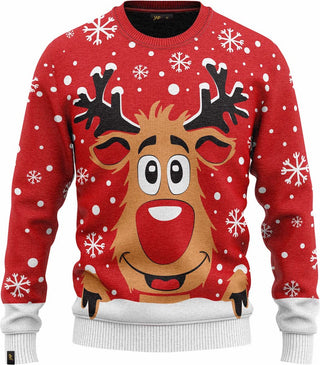 Notre pull